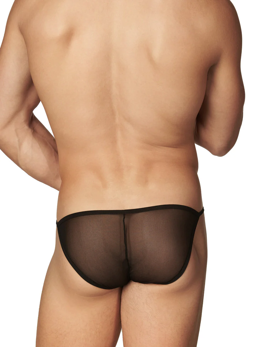 Lace and Mesh Tanga - Image 2