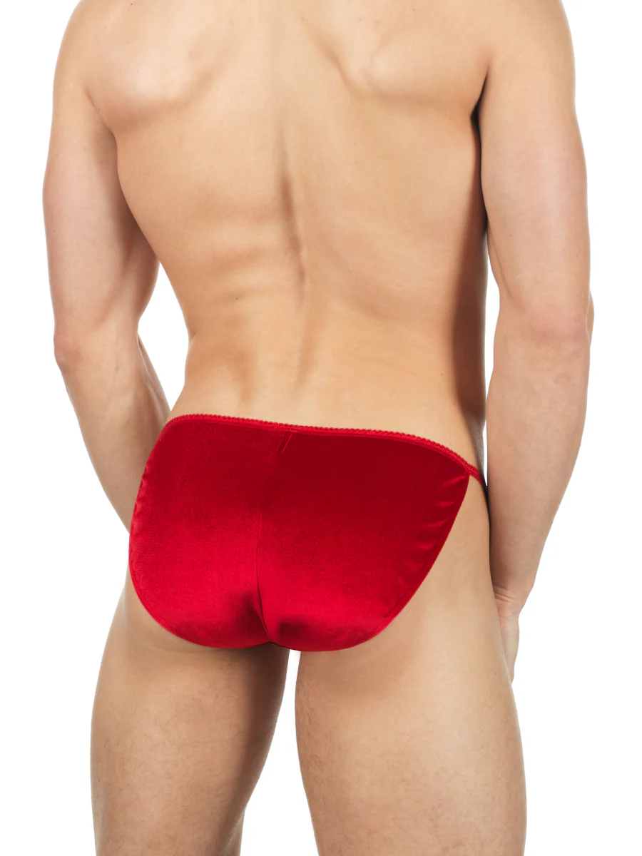 Lace and Velvet Tanga - Image 3