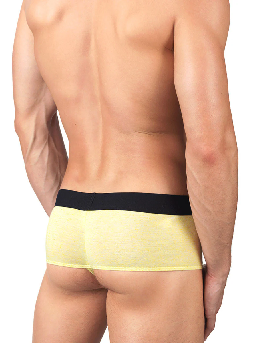 Linen Booty Short - Image 4