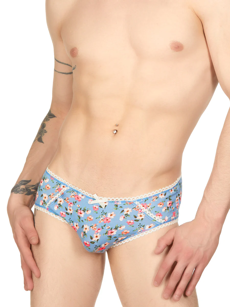 Ashley Hipster Panty