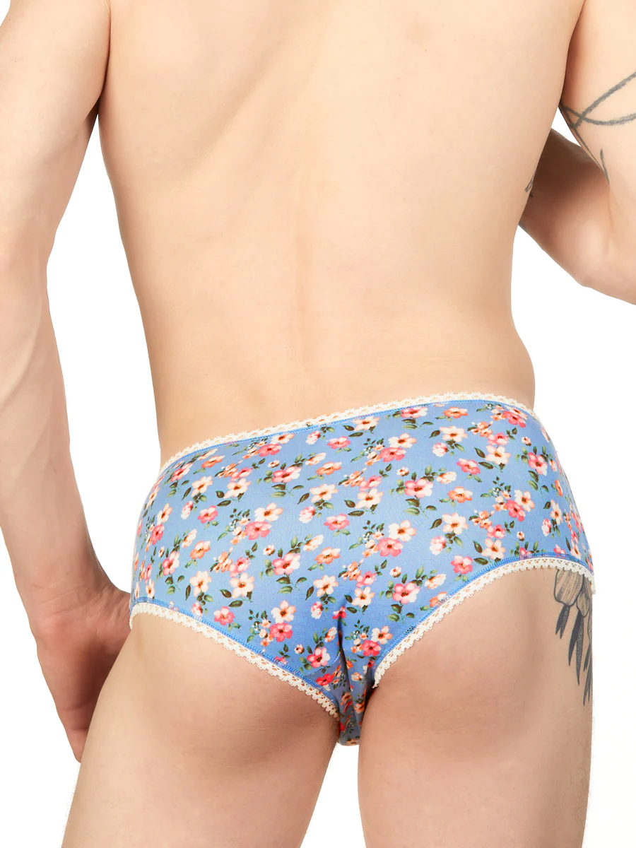Ashley Hipster Panty - Image 2