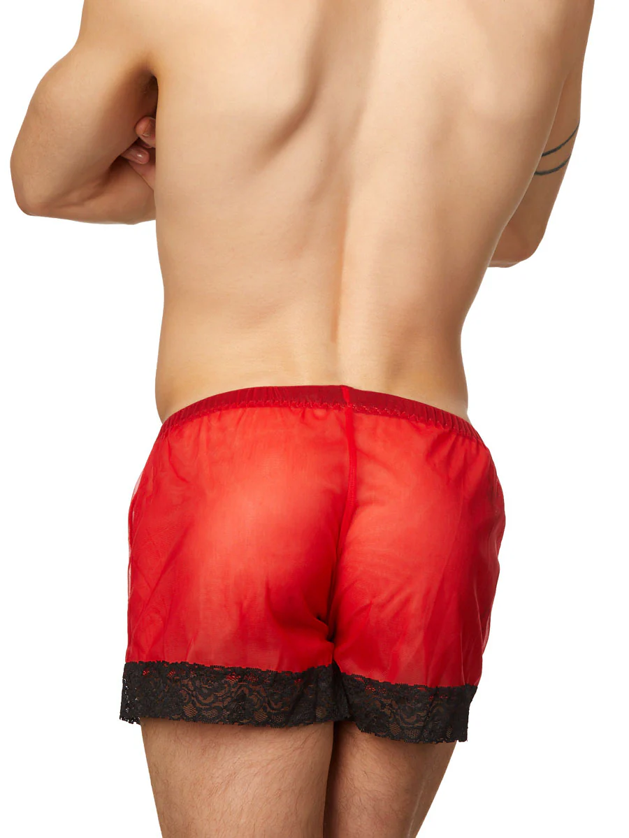 Sheer Lace Shorts - Image 2