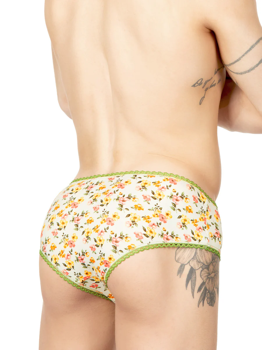 Ashley Hipster Panty - Image 2