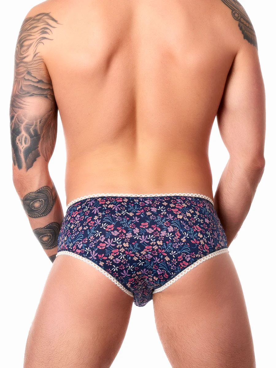 Ashley Hipster Panty - Image 4