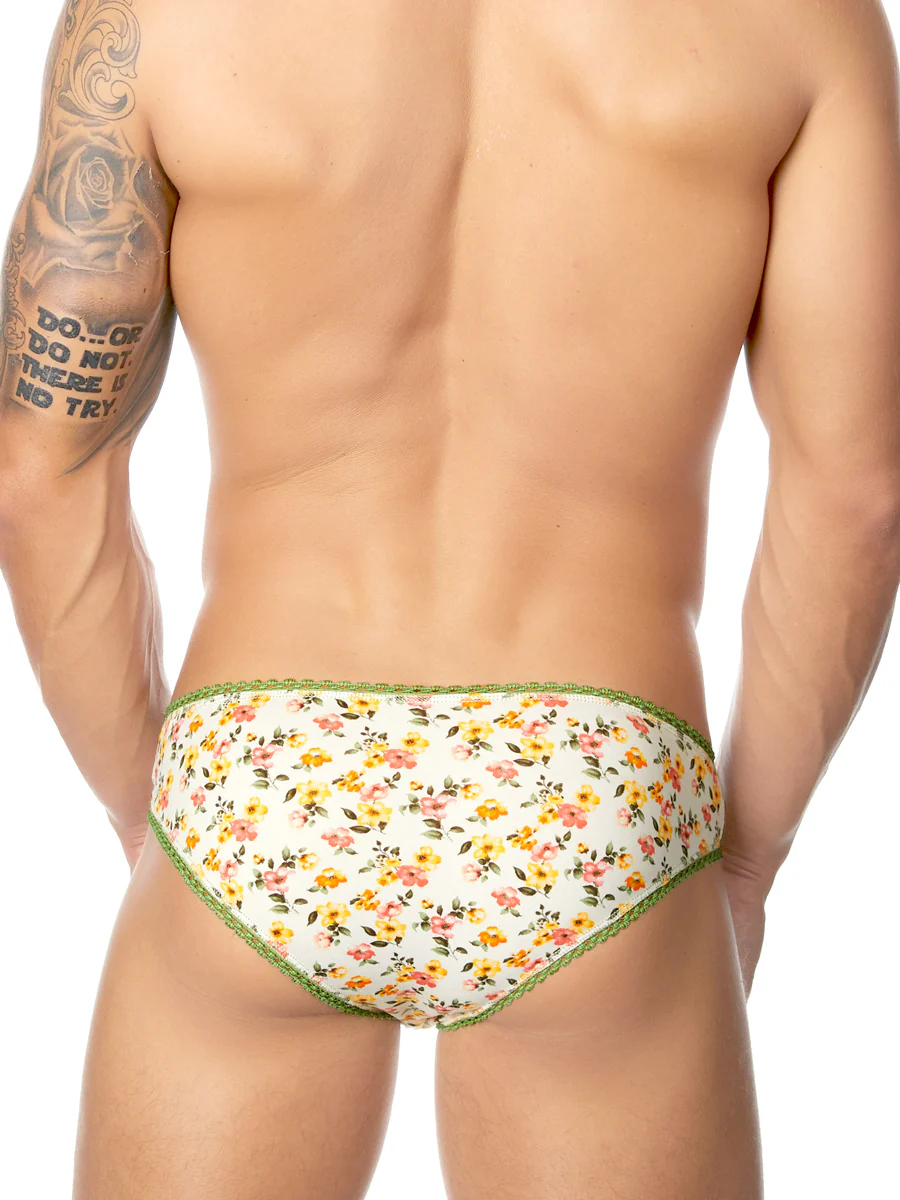 Ashley Picot Panty - Image 4