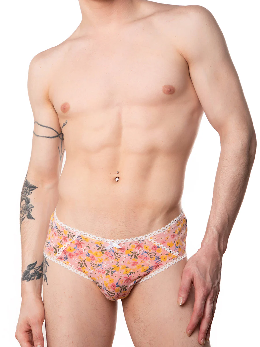 Ashley Hipster Panty