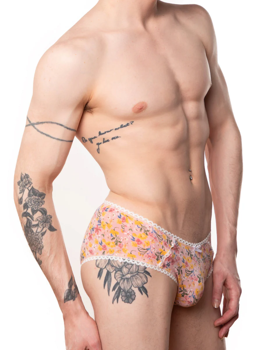 Ashley Hipster Panty - Image 2