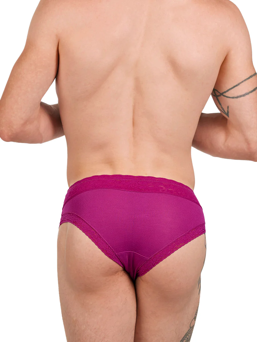 Juliette Lace Panty - Image 5