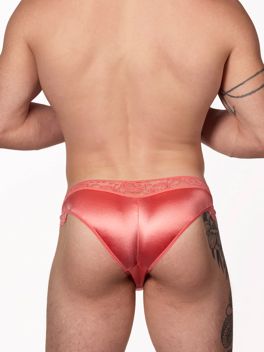 Luxe Satin Cheeky Panty - Image 5