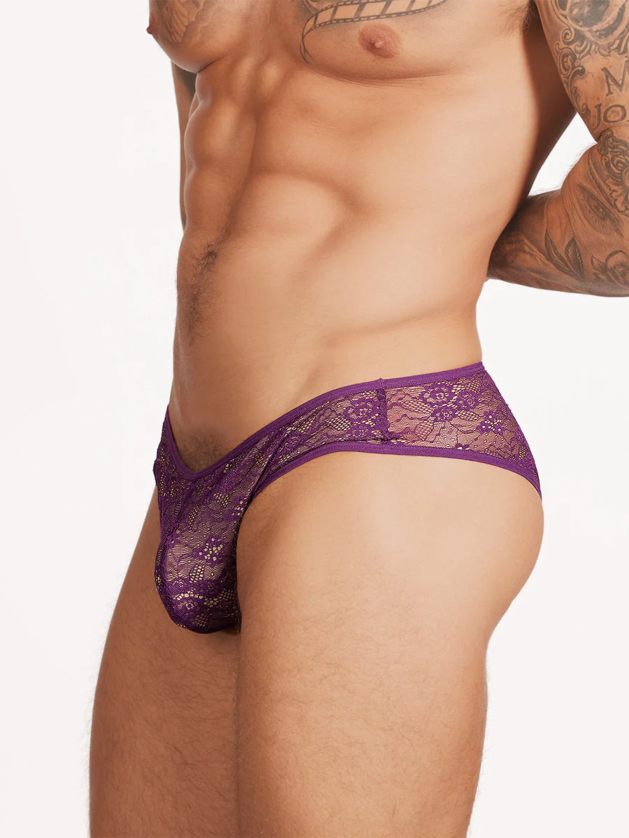 Paris Lace Lined Panty - Image 3