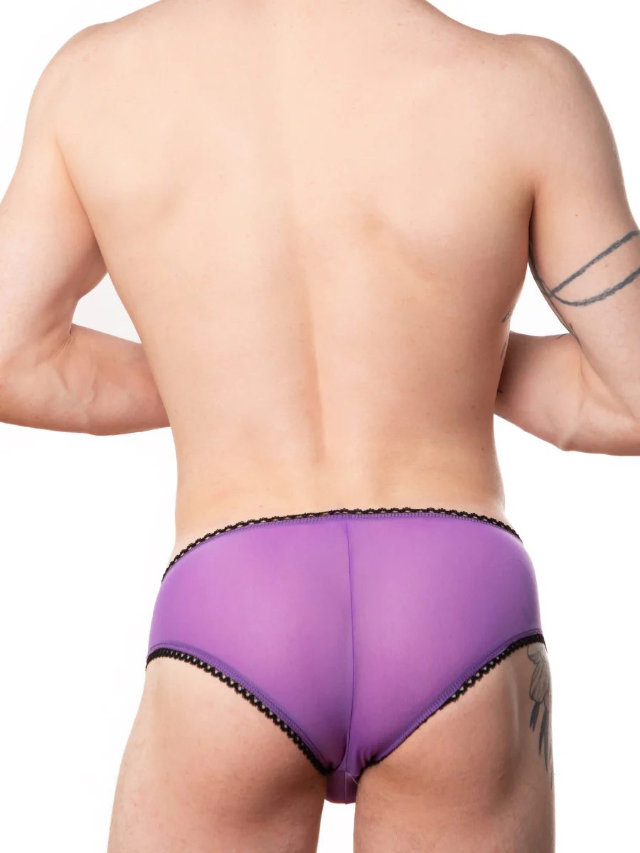 Italian Mesh Contour Panty - Image 3