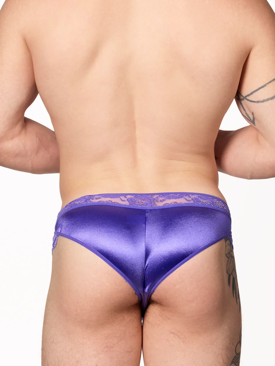Luxe Satin Cheeky Panty - Image 3