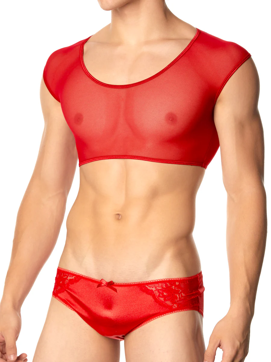 Mesh Crop Top - Image 2