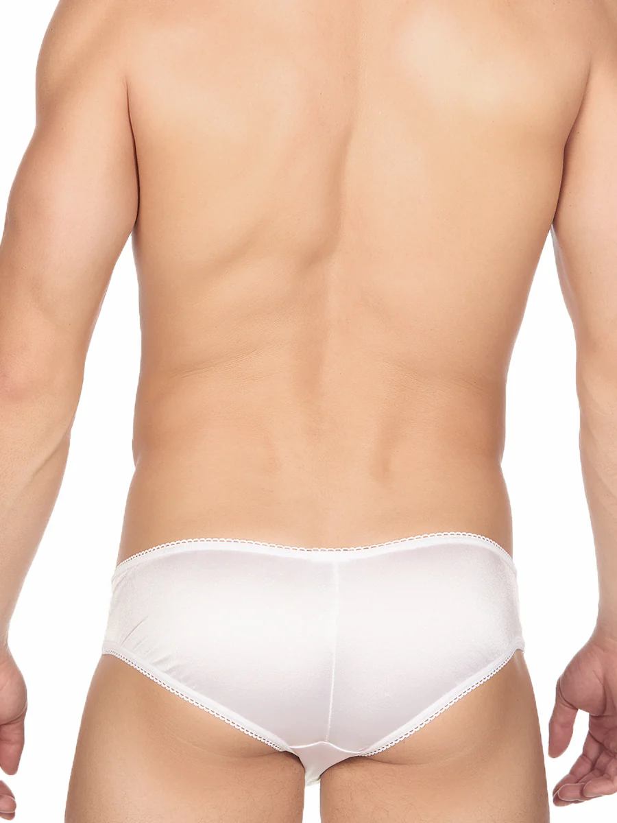 Sleek Satin & Lace Brief - Image 11