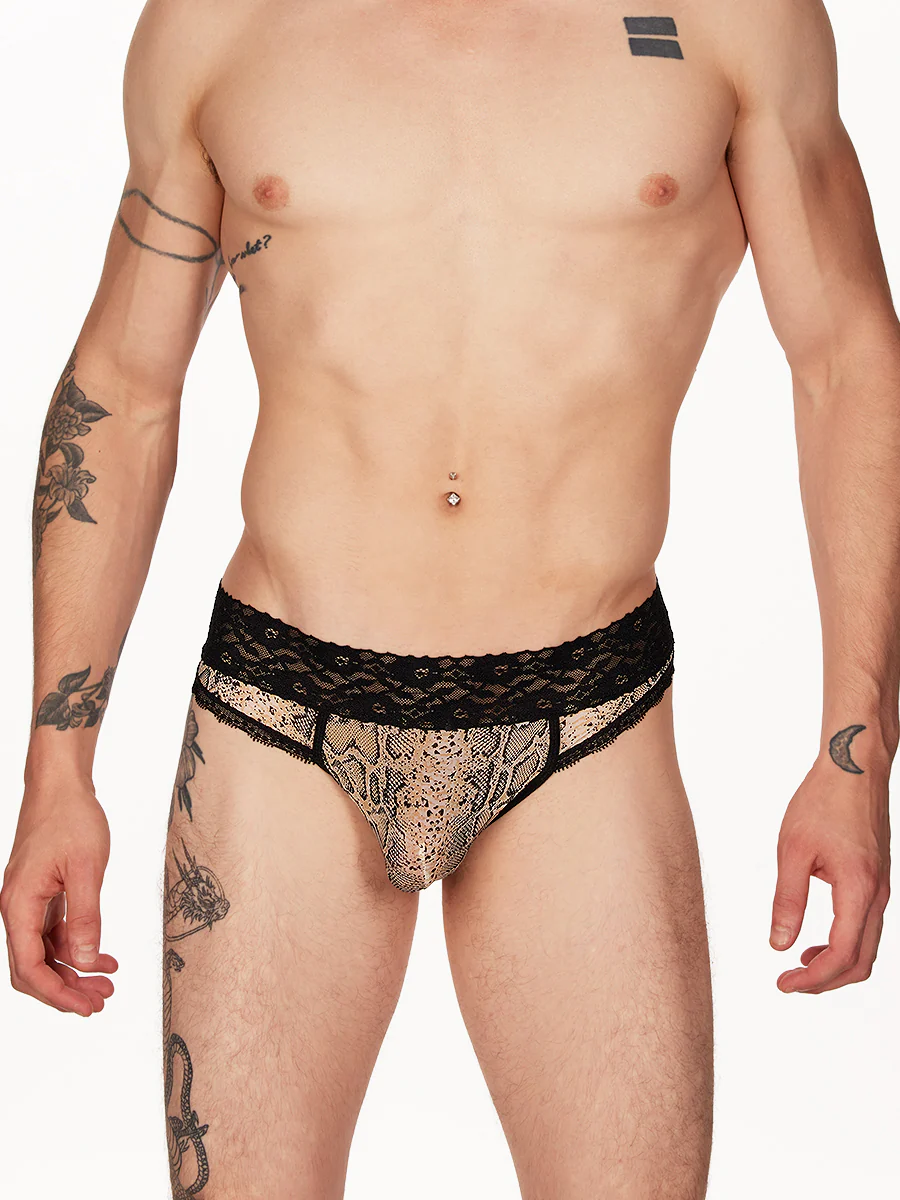 Wild Side Lace Cheeky Panty - Image 3