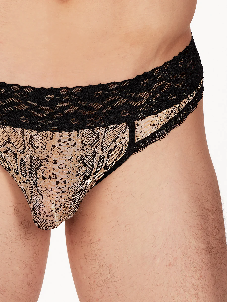 Wild Side Lace Cheeky Panty - Image 4