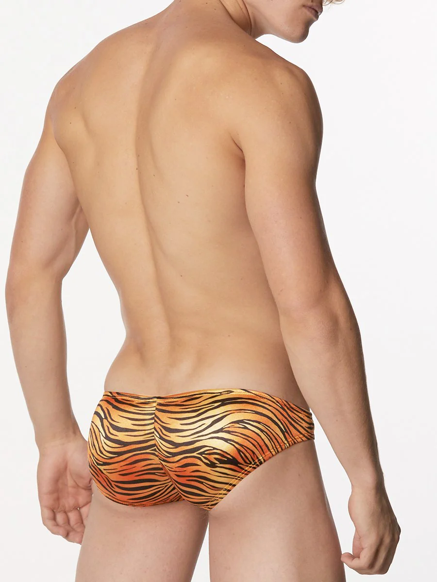 Sleek Print Satin Panty - Image 2