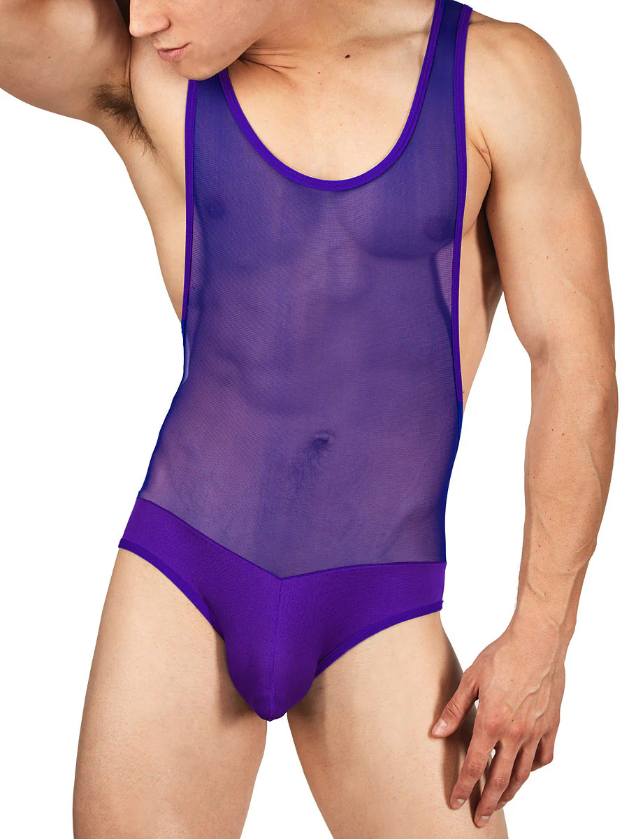 Mesh and Baloney Bodysuit