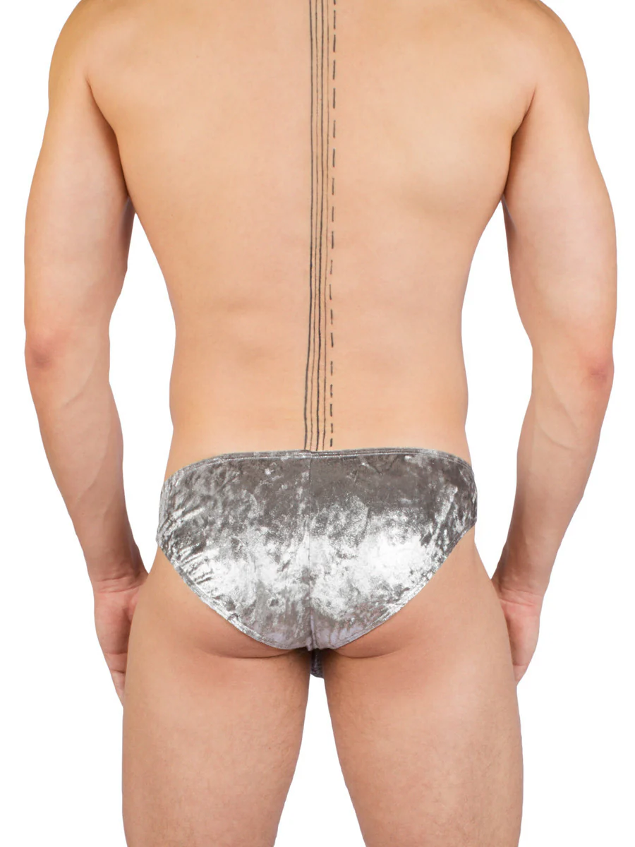 Metallic Velvet Brief - Image 2
