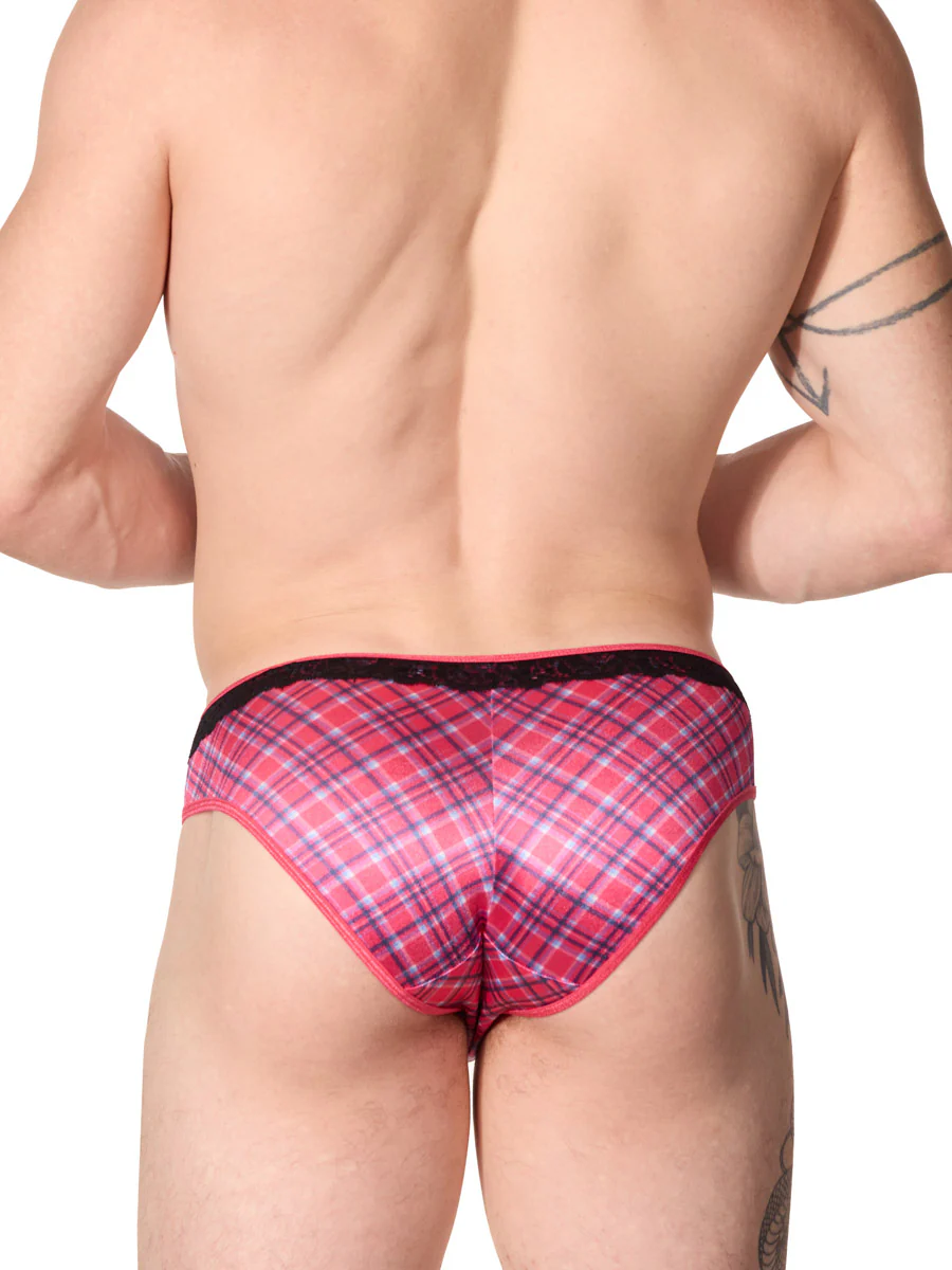 Luxe Satin & Lace Bikini Panty - Image 2