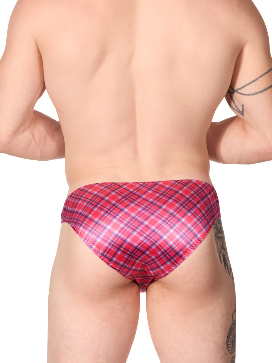 Printed Luxe Satin Panty - Image 2
