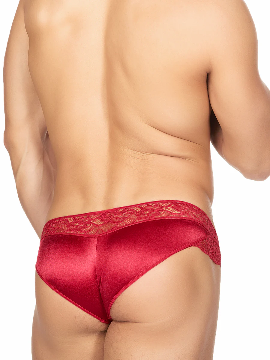 Luxe Satin Cheeky Panty - Image 8