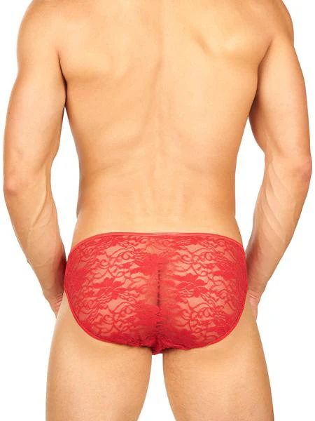 Satin and Lace Whisper Panty - Image 10