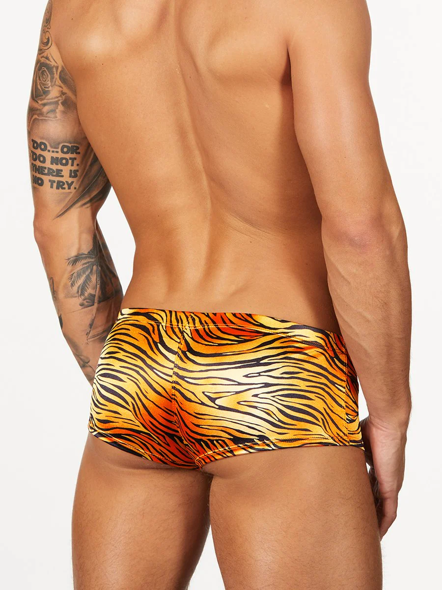 Satin Print Booty Short - Image 2