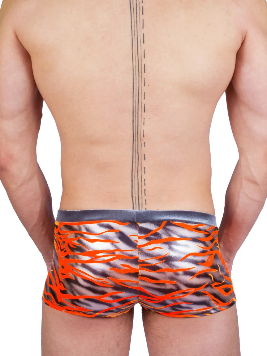 Silver Tiger Booty Shorts - Image 2
