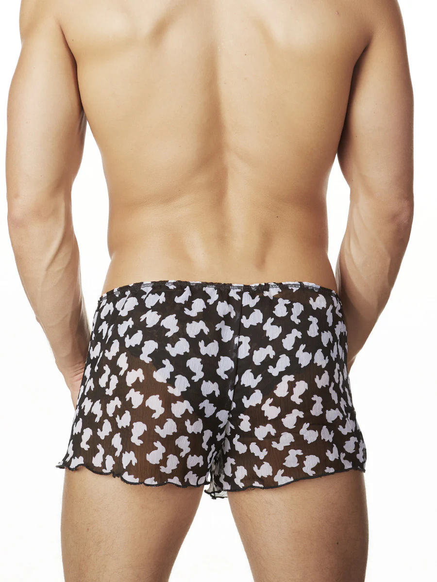 Bunny Boxer - Image 3