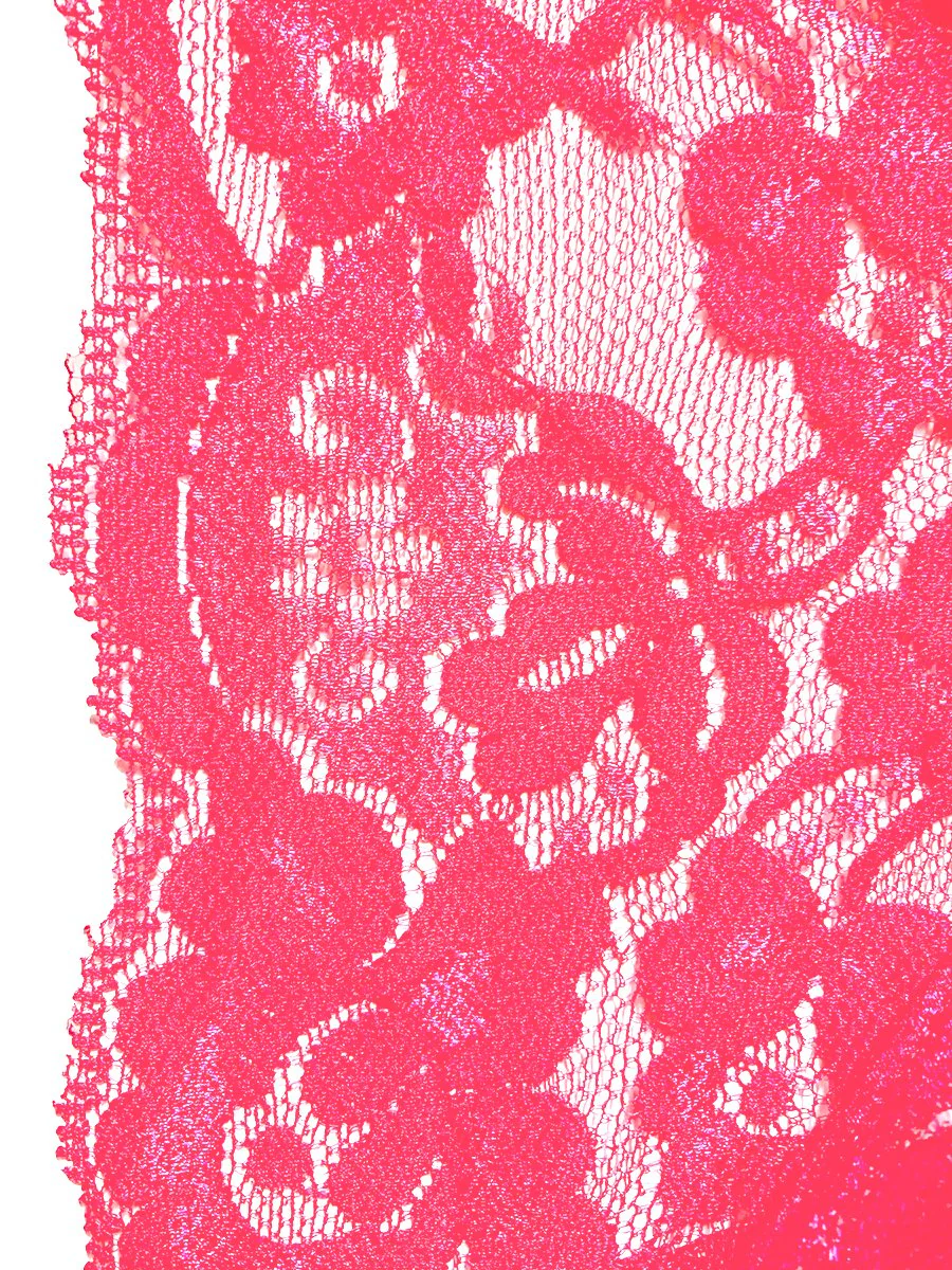 Lace Brazil Panty - Image 3