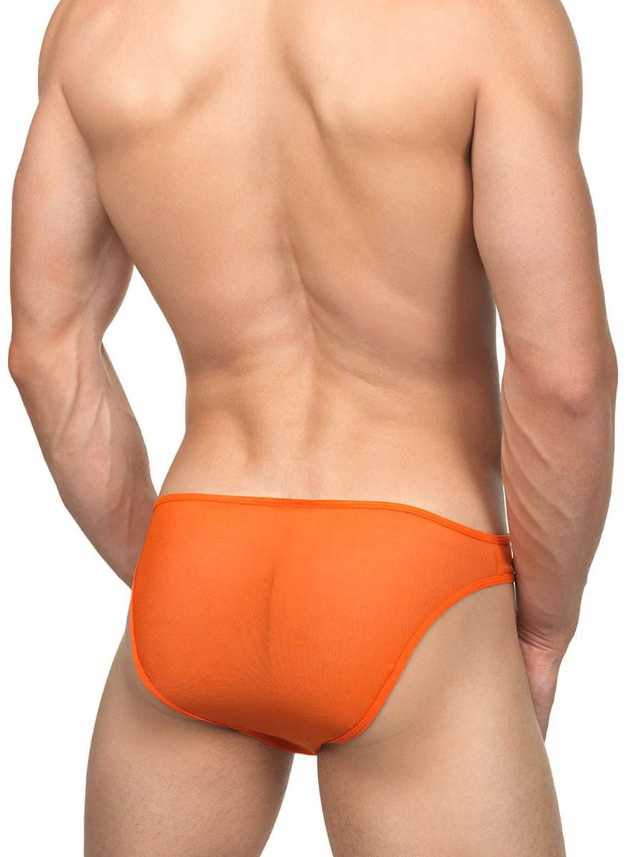 Toga Tanga - Image 2