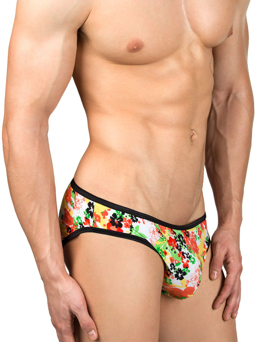 Venus Flycatcher Seamless Brief - S only - Image 2